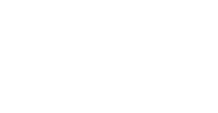 VOSE Logo