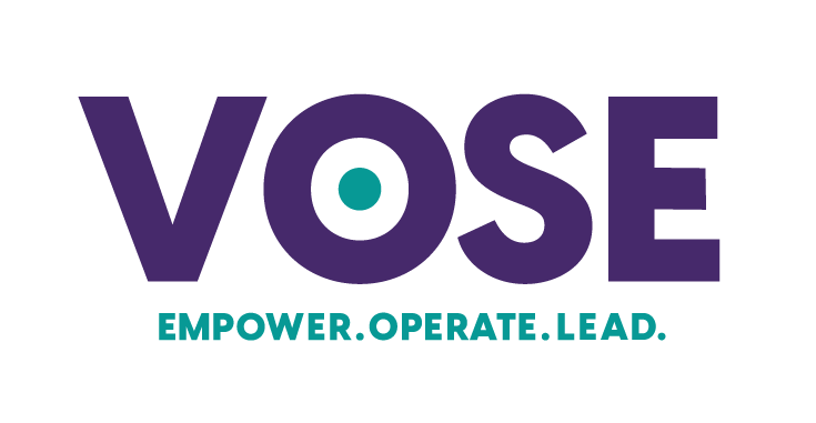 VOSE Logo